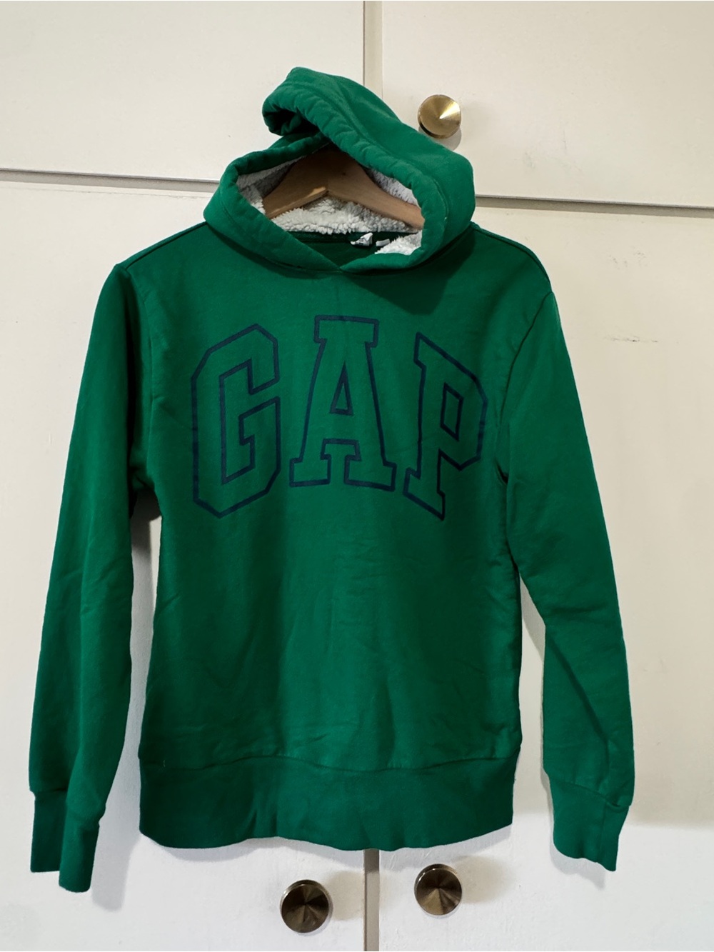 GAP Green Hooded Pullover
